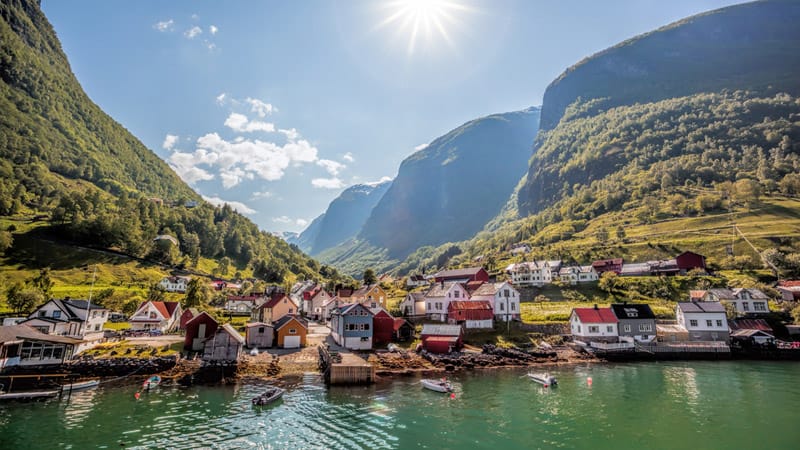 Flaam