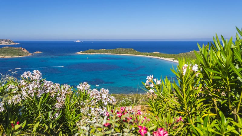 Olbia