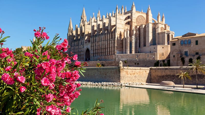 Palma