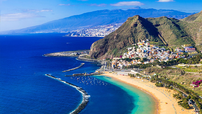 Discover the Canaries