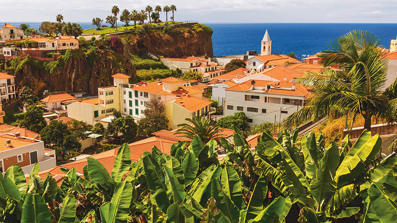 Escape to the Canaries