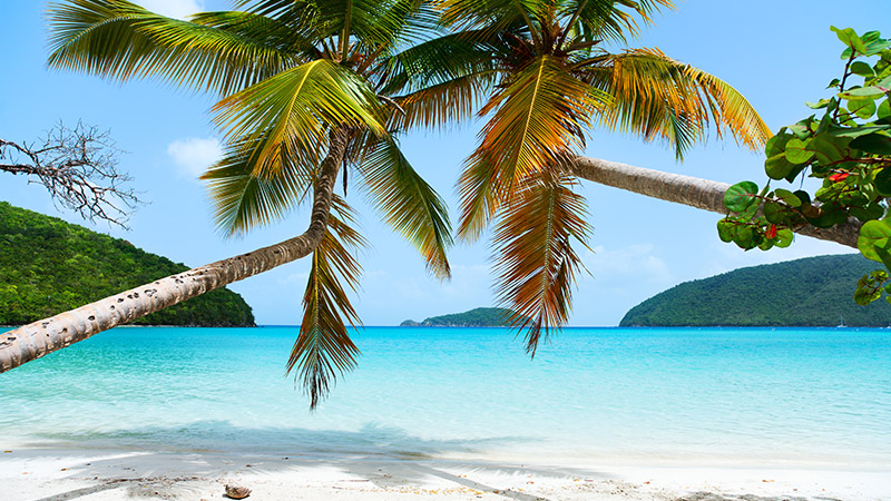 12 night All-Inclusive Caribbean Cruise from New York