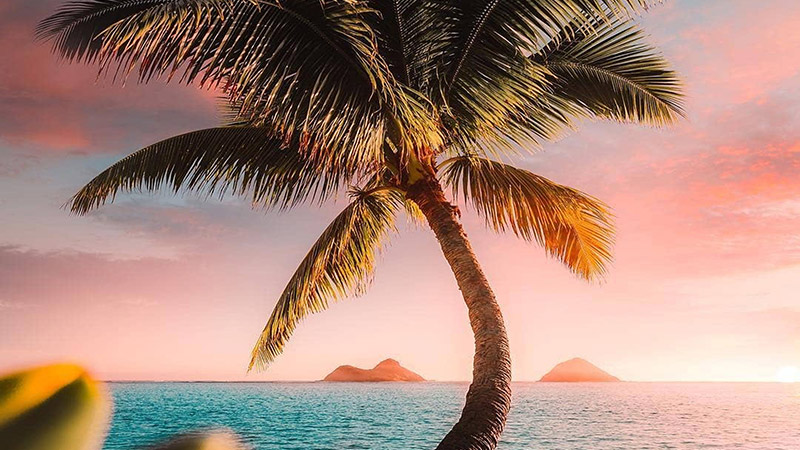 26 Night Sydney to Honolulu South Pacific Voyage with Stays