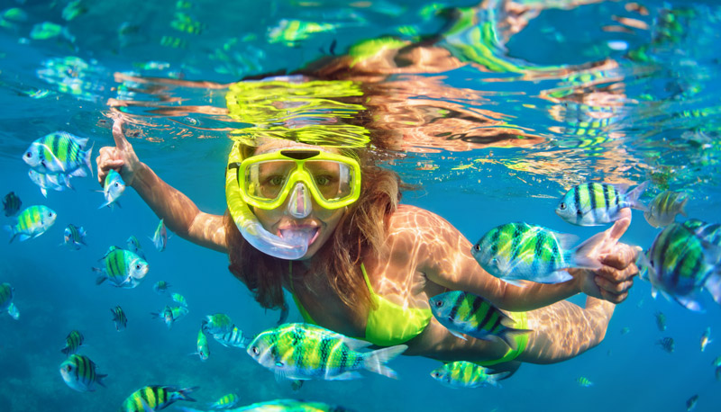 Snorkelling in the Caribbean