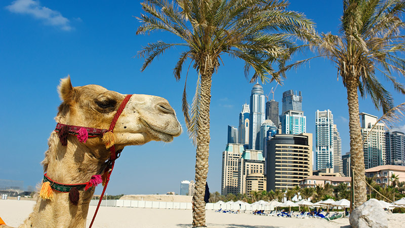 Dubai, Abu Dhabi & Doha Cruise