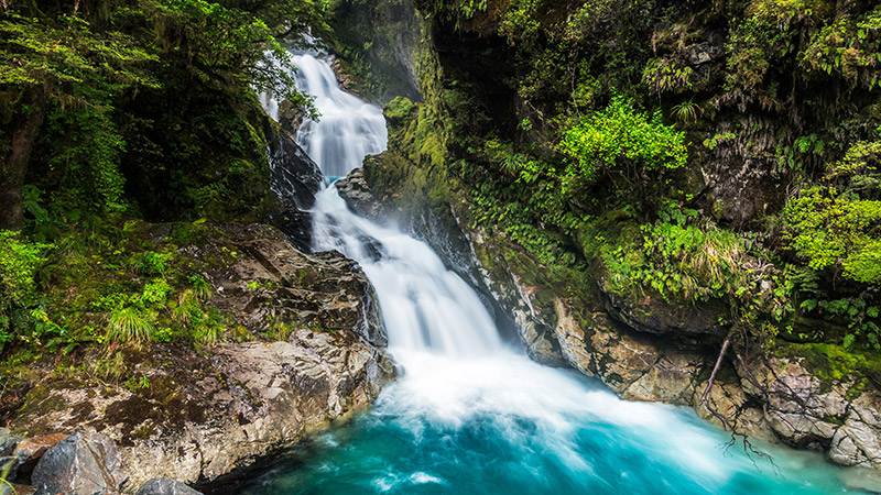 16 night New Zealand Cruise & Sydney