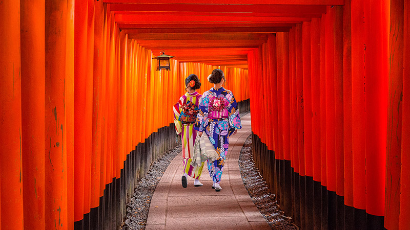 16 night All-Inclusive Japanese highlights Cruise & Tokyo Stay