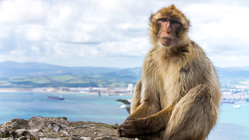 Spain & Portugal Cruise from Southampton