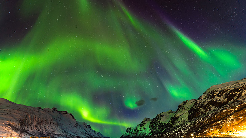 Fred Olsen Northern Lights Cruise