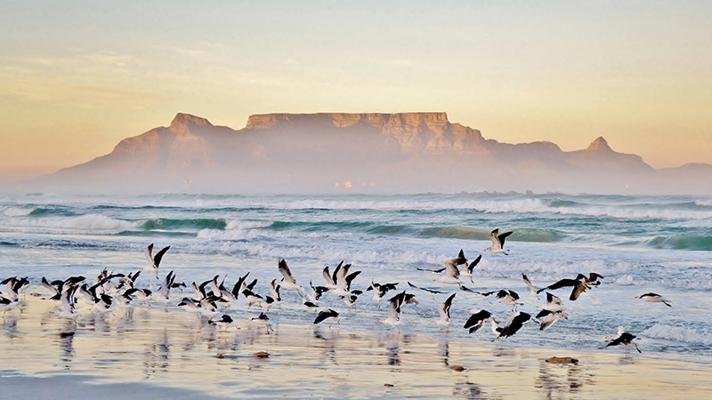 All Inclusive Madagascar & Indian Ocean with Cape Town & Mauritius